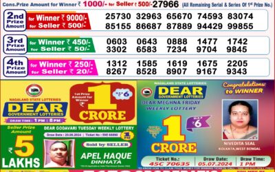 Dear stork saturday weekly lottery 24.8.24 8pm result