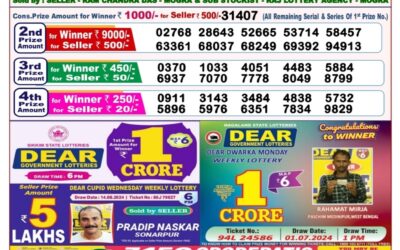 Dear goose tuesday weekly lottery 20.8.24 8pm result