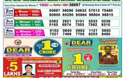 Dear narmada saturday weekly lottery 24.8.24 1pm result