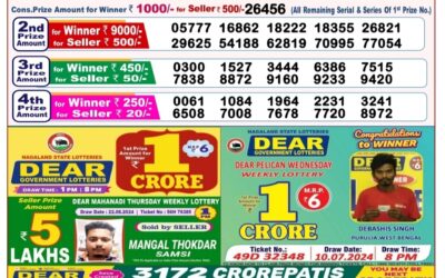 Dear goose tuesday weekly lottery 27.8.24 8pm result