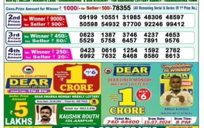 Dear narmada saturday weekly lottery 31.8.24 1pm result