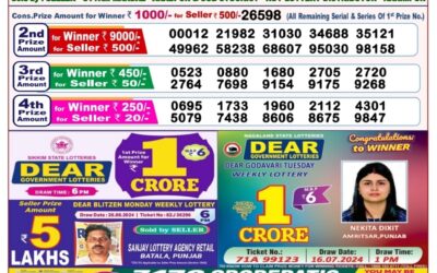 Dear stork saturday weekly lottery 31.8.24 8pm result