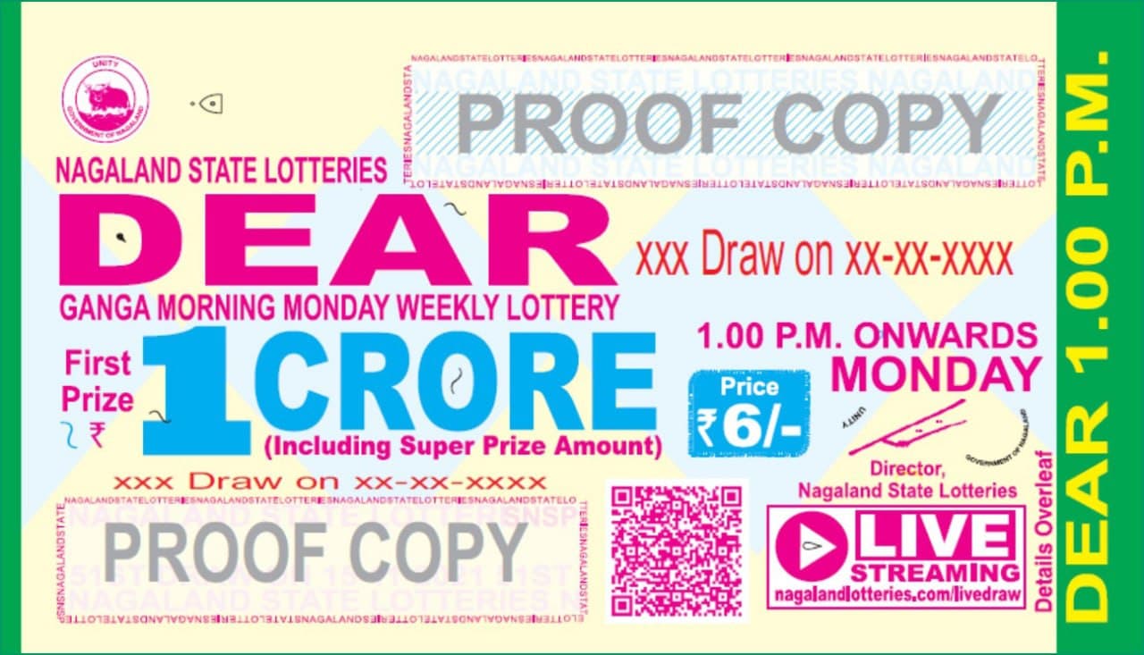 dear lottery live today 1pm