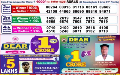 Dear goose tuesday weekly lottery 3.9.24 8pm result