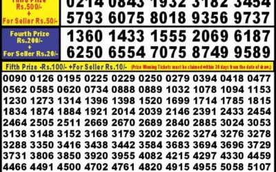 Punjab state dear 10 iron sunday weekly lottery  22.9.24 6pm result