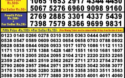 Punjab State Dear 10 Iron Sunday Weekly Lottery  24.9.24 6pm result