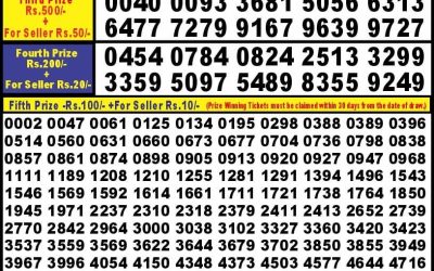 Punjab State Dear 10 Iron Sunday Weekly Lottery 6PM Result 25.9.24