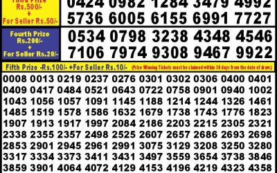 Punjab State Dear 10 Thursday Weekly Lottery  26.9.24 6pm result