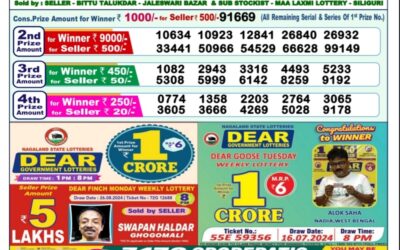 Dear yamuna sunday weekly lottery 1.9.24 1pm result