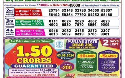 Dear toucan sunday weekly lottery 1.9.24 8pm result