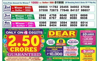 Dear meghna Friday weekly lottery 6.9.24 1pm result