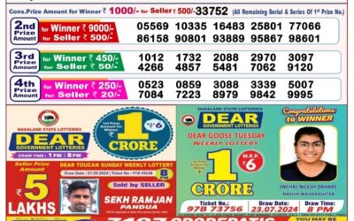 Dear stork saturday weekly lottery 7.9.24 8pm result