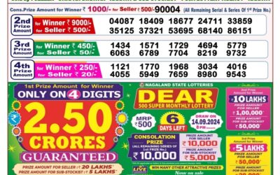 Dear toucan sunday weekly lottery 8.9.24 8pm result