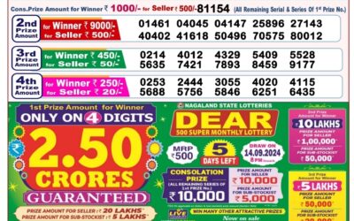 Dear Finch monday weekly lottery 9.9.24 8pm result