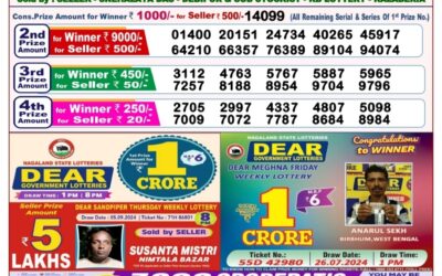 Dear goose tuesday weekly lottery 10.9.24 8pm result