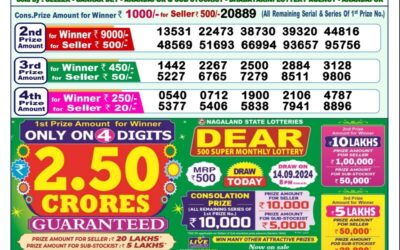 Dear narmada saturday weekly lottery 14.9.24 1pm result