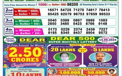 Dear yamuna sunday weekly lottery 15.9.24 1pm result