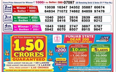 Dear toucan sunday weekly lottery 15.9.24 8pm result