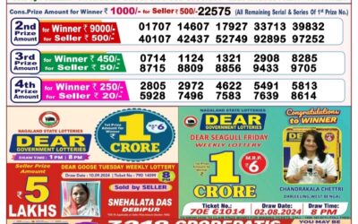 Dear goose tuesday weekly lottery 17.9.24 8pm result