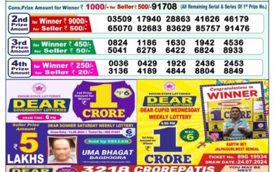 Dear yamuna sunday weekly lottery 22.9.24 1pm result