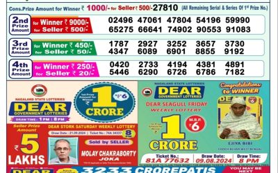 Dear narmada saturday weekly lottery 28.9.24 1pm result