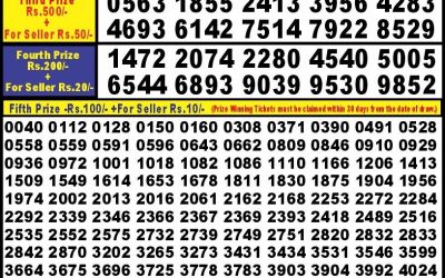 Punjab State Dear 10 Iron Sunday Weekly Lottery 29.9.24 6pm result