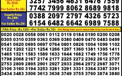 Punjab State Dear 10 tuesday Weekly Lottery 1.10.24 6PM Result