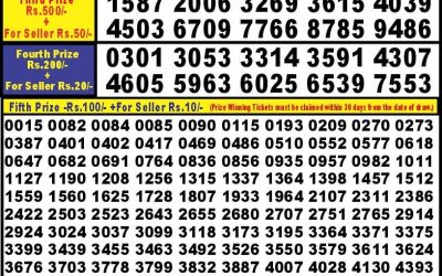 Punjab State Dear 10 tuesday Weekly Lottery 8.10.24 6PM Result