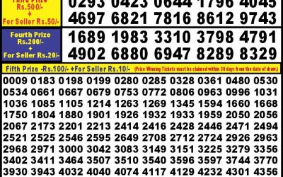 Punjab State Dear 10 Wednesday Weekly Lottery 9.10.24 6PM Result