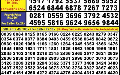 Punjab State Dear 10 Thursday Weekly Lottery 10.10.24 6PM Result