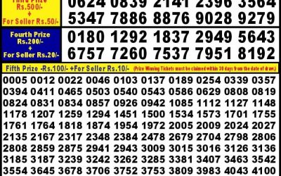 Punjab State Dear 10 Friday Weekly Lottery 11.10.24 6PM Result