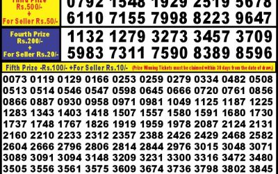 Punjab State Dear 10 Iron Sunday Weekly Lottery 13.10.24 6PM Result