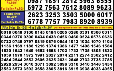 Punjab State Dear 10 Thursday Weekly Lottery 17.10.24 6PM Result