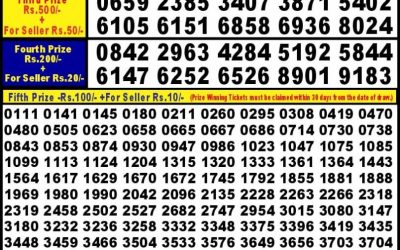 Punjab State Dear 10 Friday Weekly Lottery 18.10.24 6PM Result