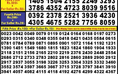 Punjab State Dear 10  tuesday Weekly Lottery 22.10.24 6PM Result