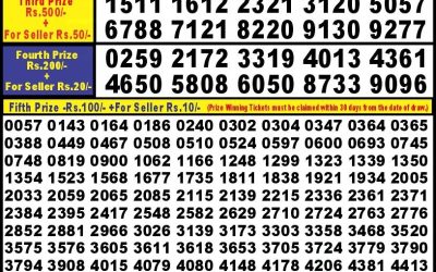 Punjab State Dear 10 Sunday Weekly Lottery 6.10.24 6pm result