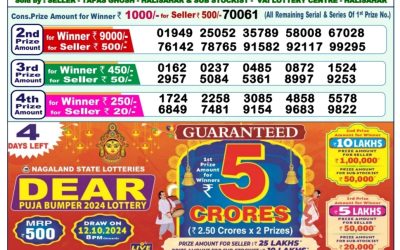 Dear godavari tuesday weekly lottery 8.10.24 1pm result