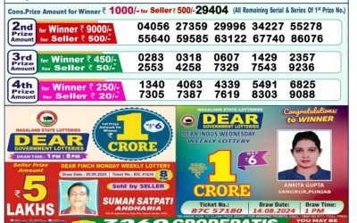 Dear indus Wednesday weekly lottery 9.10.24 1pm result