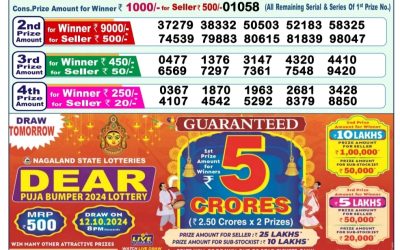 Dear meghna Friday weekly lottery 11.10.24 1pm result