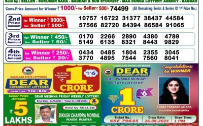 Dear dasher Friday weekly lottery 11.10.24 6pm result