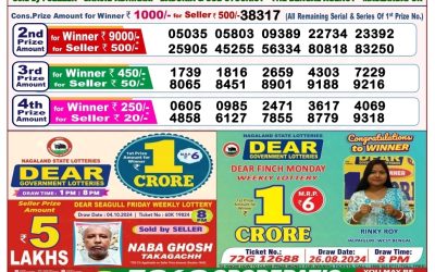 Dear seagull Friday weekly lottery 11.10.24 8pm result