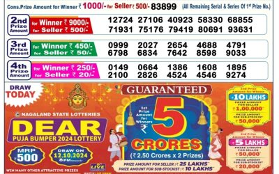 Dear donner saturday weekly lottery 12.10.24 6pm result