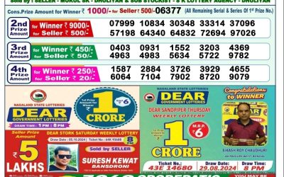 Dear yamuna sunday weekly lottery 13.10.24 1pm result