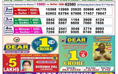 Dear goose tuesday weekly lottery 15.10.24 8pm result