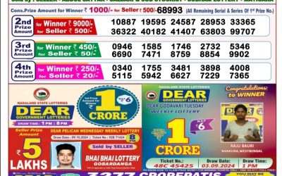 Dear pelican Wednesday weekly lottery 16.10.24 8pm result