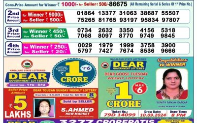 Dear  narmada saturday weekly lottery 19.10.24 1pm result