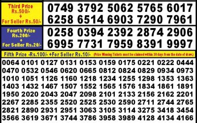 Punjab State Dear 10 saturday Weekly Lottery 19.10.24 6PM Result