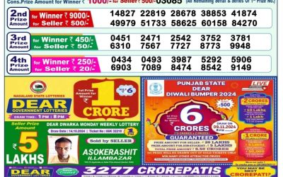 Dear yamuna sunday weekly lottery 20.10.24 1pm result