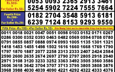 Punjab State Dear 10 Iron Sunday Weekly Lottery 20.10.24 6PM Result