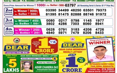 Dear goose Tuesday weekly lottery 29.10.24 8pm result